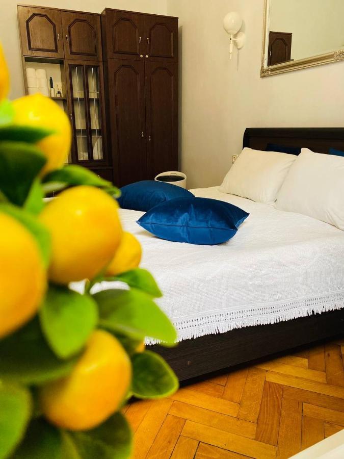 Centr Opera House 2 rooms Lviv Buitenkant foto